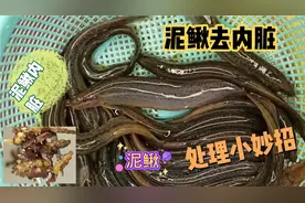 泥鳅去内脏处理小妙招，干净，简单，不用刀，而且又不滑视频封面