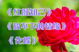 精选3首大众喜爱的好歌《红颜知己》《放不下的情缘》《化蝶》
