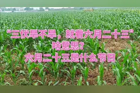“三伏旱不旱，就看六月二十三”，这天是啥日子？老话有道理吗？