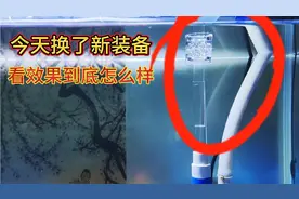 今天给鱼缸换了一套高端的设备，看效果是否能达到我的要求？视频封面