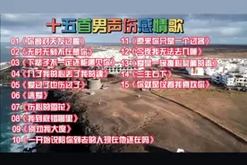 十五首男声伤感情歌《一开始说陪你到老的人现在他还在吗》