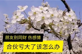 难兄难弟合伙做生意亏大了，这样处理还够人情味吗？敬请指点视频封面