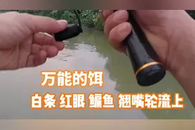 微物路亚神饵  好抛投  关键是大小通杀，白条红眼鳊鱼翘嘴轮流上