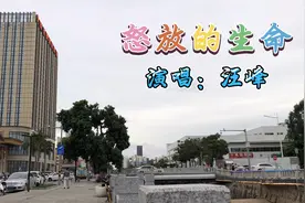 一首汪峰《怒放的生命》细致的歌词描写大气而成熟励志歌曲视频封面