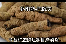 巴戟天，具补肾助阳，祛风除湿的功效，另各种虚损症状自然消除。