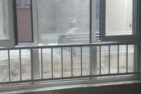 这是我要今年入住的全军统一安置房在济南西客站附近视频封面