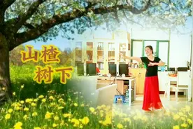 古典舞《山楂树之恋》欧达源老师编舞 蓝珊瑚习舞视频封面