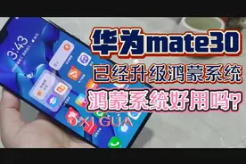 华为mate30 已经升级好鸿蒙系统了 提交申请 申请通过 鸿蒙好用吗视频封面
