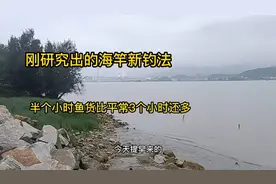 又研究出一个海竿新玩法，30分钟鱼货比平常3小时还多，太刺激了视频封面
