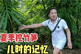 四川农村这种竹笋很受欢迎，只有夏季才有，用来炒肉又脆有好吃