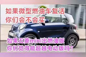 微型燃油车复活会不会火   五菱mini燃油版能不能超越电动版