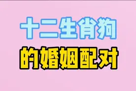 十二生肖，狗的婚姻配对，来看看你嫁对了吗视频封面