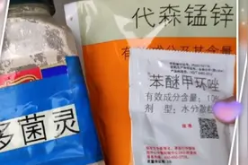 多肉叶斑病，掉叶片，不用买的杀菌剂。继续试用高锰酸钾治疗！