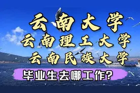 云南高校1:云南大学，昆明理工大学，云南民族大学就业解析视频封面