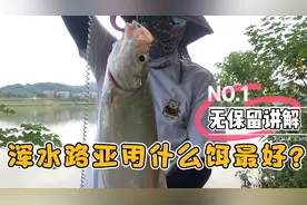 浑水路亚用什么饵最好？选饵和颜色无保留讲解，一般人我不告诉他