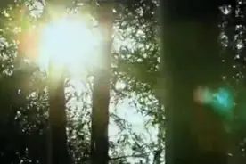 You Are My All In All