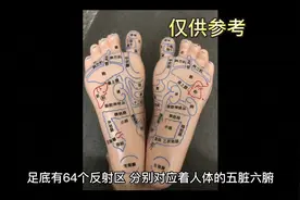 足底有多少个反射区 足底有什么好处今天带你们了解一下