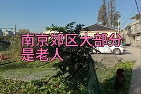 南京郊区留下大部分老人，年轻人往市区或大城市工作定居