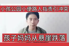 三岁小孩公园小便路人指责引发冲突，孩子妈妈不慎跌落悬崖视频封面