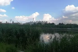 天津市东丽区万新街极具发展潜力的“飞地”六村，紧邻天钢柳林。