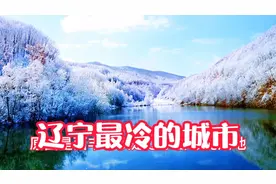 辽宁省冬季最冷的五个城市到底有多冷，最暖的城市呢有你的家乡吗视频封面