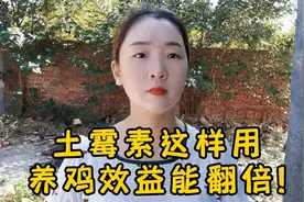 不管你养的什么鸡，土霉素这样用，养鸡效益真的能翻倍！视频封面