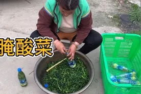 乡下妈妈自己种的菜心，摘一大筐腌腌美味又可口，可以存放2年呢视频封面