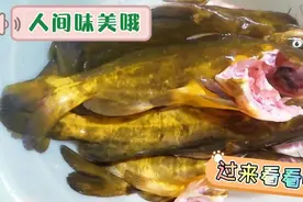 酸菜黄牙鱼，怎么这么好吃呢🤤