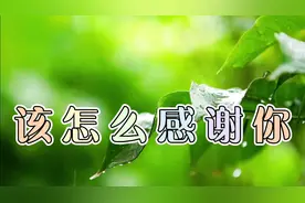 千言万语汇成一首歌《该怎么感谢你》分享给朋友们！