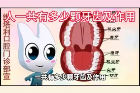人一共有多少颗牙齿及作用视频封面