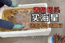 去青岛码头上买了一堆海星蒸了吃，比螃蟹还过瘾，连吃4只悲剧了视频封面