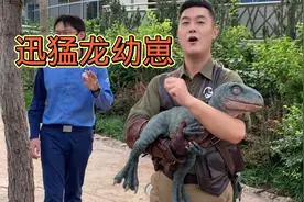 北京环球影城，迅猛龙幼崽超可爱，小朋友很喜欢！