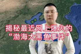 揭秘最近爆火网络的“渤海大黑鱼事件”，到底是个啥？视频封面