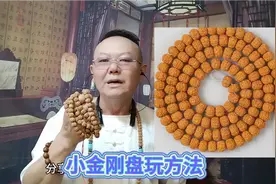 小金刚盘玩方法视频封面