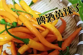 湖南特产黄辣椒，这样泡出来简单好吃又下饭