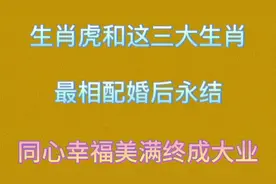 生肖虎和这三生肖最相配，婚后幸福美满，永结同心，终成大业。视频封面