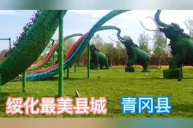 绥化地区最美小县城——青冈县视频封面