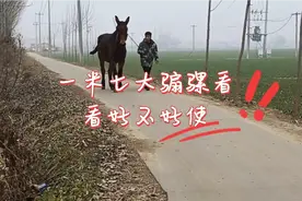 1米7大骡子看看是不是那个，带不带龙头无所谓