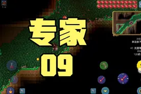 泰拉瑞亚手游专家生存09:升级装备视频封面