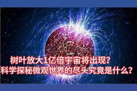 树叶放大1亿倍宇宙将尽现？科学探秘微观世界的尽头究竟是什么？