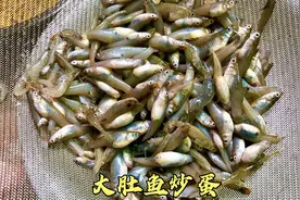 当季特色美食：食蚊鱼炒蛋，鱼骨内脏都可食用，营养又美味视频封面
