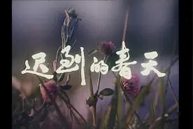 【迟到的春天】视频封面