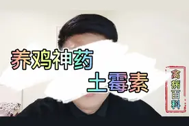 养鸡常用土霉素，方法你用对了吗？正确使用，效果加倍！视频封面