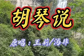 王莉/汤非原唱《胡琴说》旋律优美  歌声悦耳动听  别错过哟！