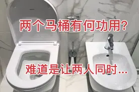 欧洲厕所为什么有两个马桶？出门在外千万别坐错，否则后果很尴尬