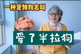 中老年女性的宽容，是家庭合睦的核心，晚年健康快乐生活的保证视频封面
