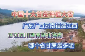 中国十大甘蔗种植大省，为何只有广西甘蔗出名！广西甘蔗好吃吗视频封面