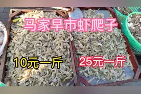 锦州铁北马家市场早市，油桃1元一斤，虾爬子10元一斤。视频封面