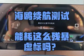 海鸥305续航测试(下)，居然虚标了！能耗这么残暴！