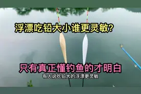 浮漂吃铅大和小谁更灵敏？简单真相在这里，看完都别争了